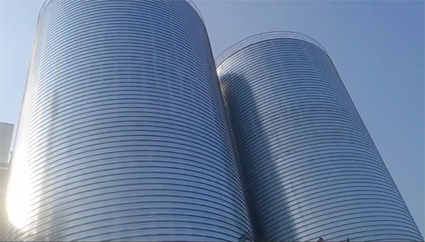 丰顺2座混凝土高架卷板仓